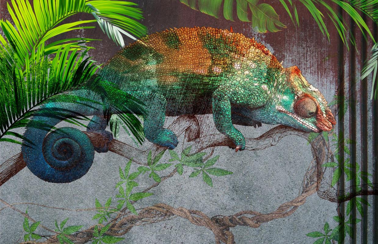Mural tropikalny z kameleonem i liśćmi palmy