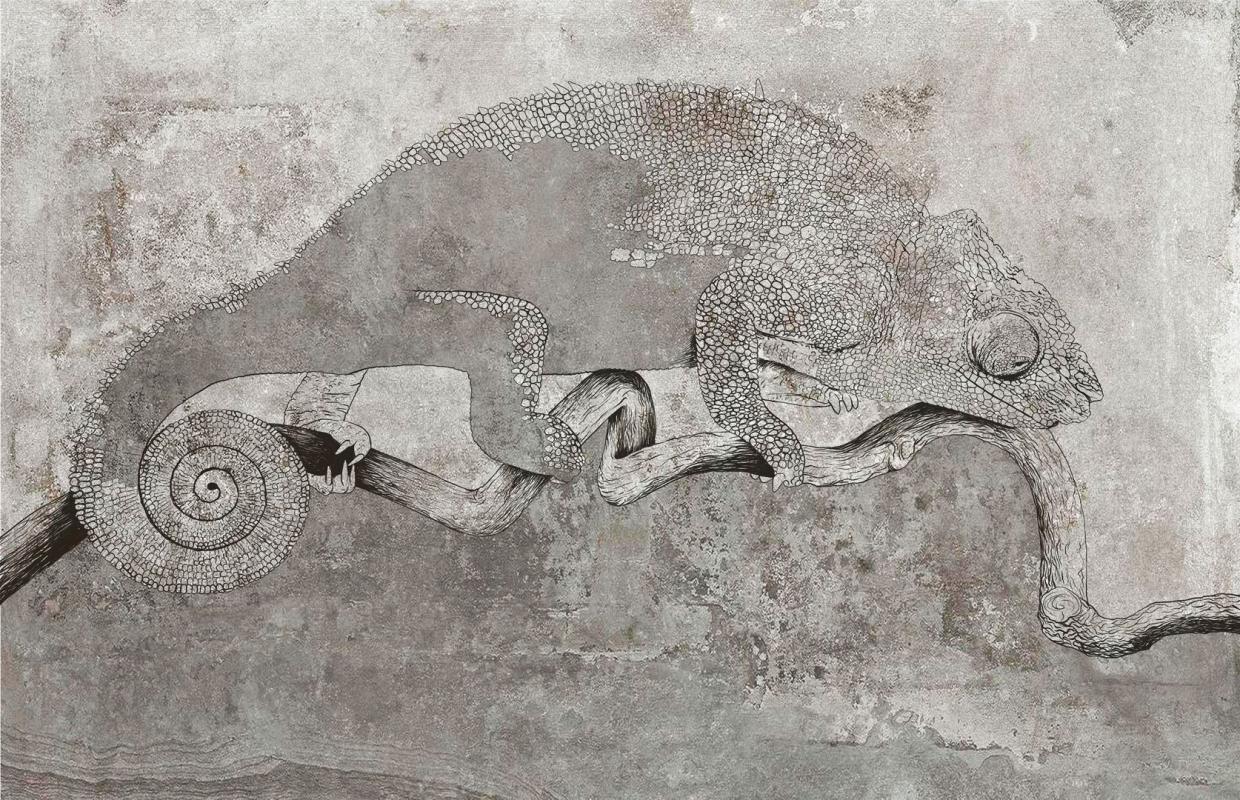 Fototapeta flizelinowa kameleon na betonowym tle.