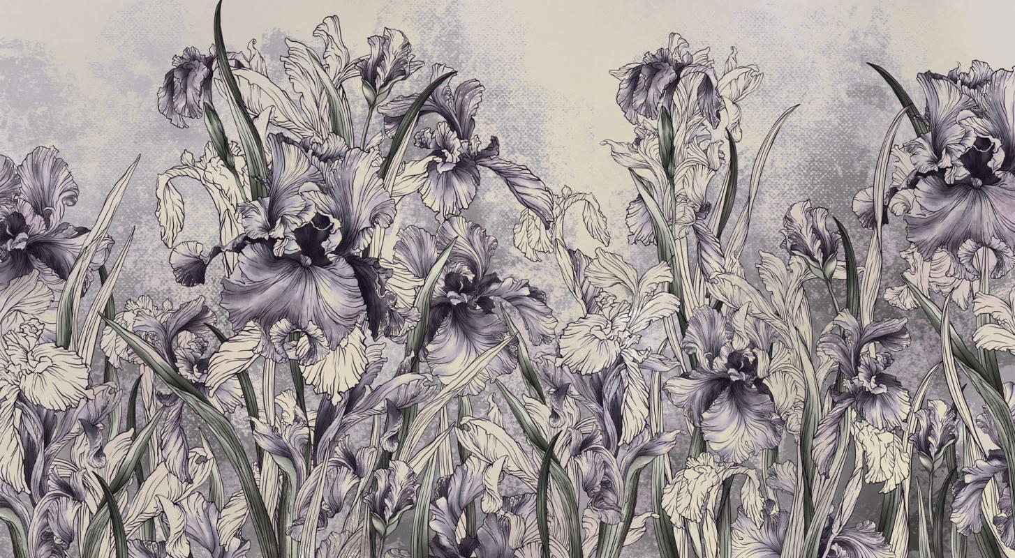 Fototapeta Iris flores